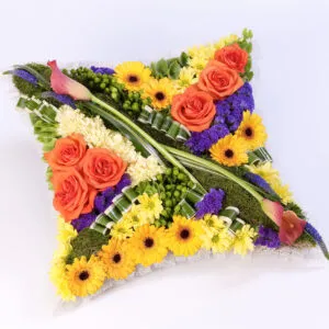 Contemporary Cushion Vibrant