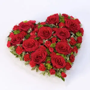 Red Rose and Carnation Heart