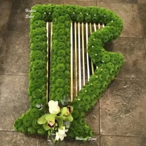 Irish Harp Tribute