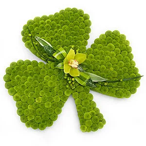 Shamrock Tribute ***