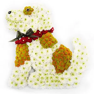Dog Floral Tribute ***