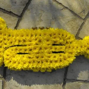 Trumpet Floral Tribute