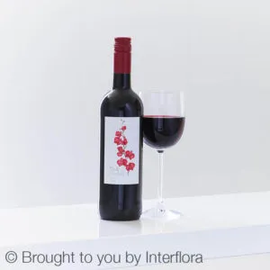 Red Orchid Merlot -0