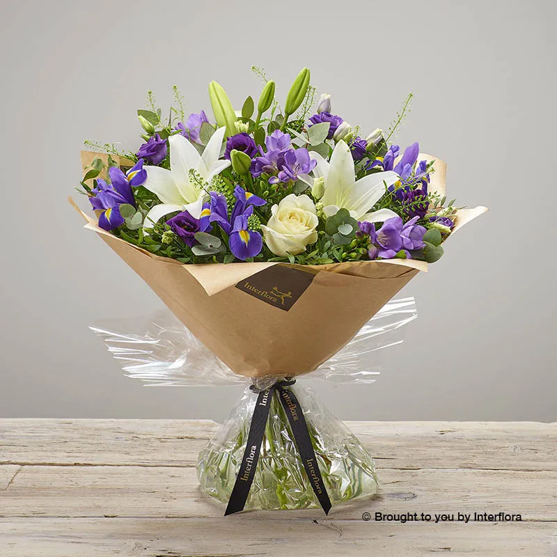 Purple Comfort In Water