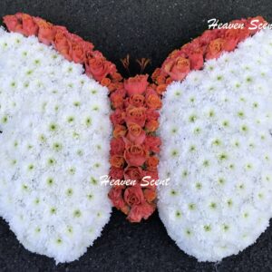 Butterfly Tribute