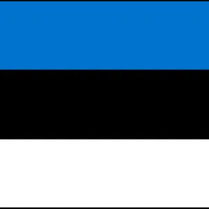 Estonian Flag