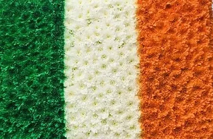 Irish Flag