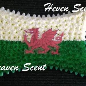Welsh Flag