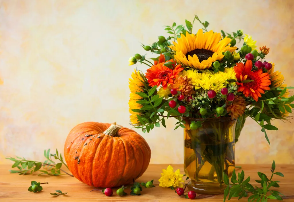 Autumn Flowers