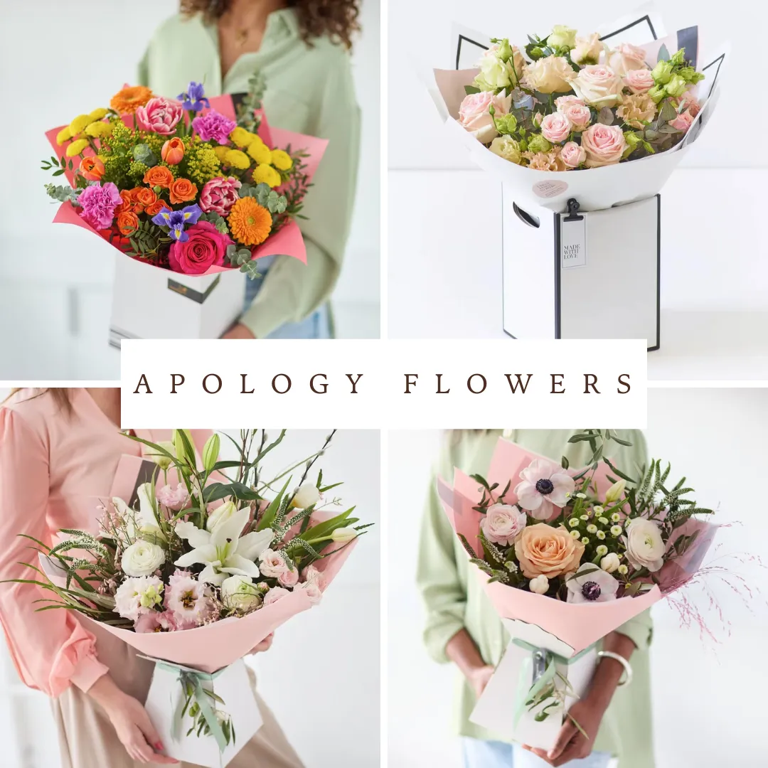 apology flowers